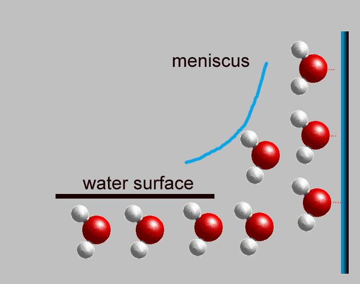 water cohesion diagram